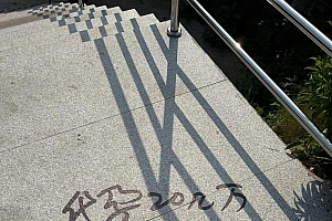 “我向12345举报了街边的代孕广告”