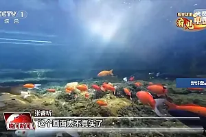 我在这里看见中国丨走遍名山大川 他用镜头记录这片土地的美
