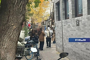 胡同一棵“网红”树,你拍美了,居民犯愁了……