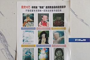 仍无影踪的“梅姨”,到底是否存在?
