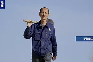 在“沙漠之城”种下一万多亩树!这群退役老兵,做到了!