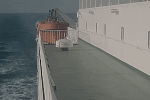 现实版《消失的她》!为骗巨额保金,辽宁一男子推妻坠海致其身亡,法院判了