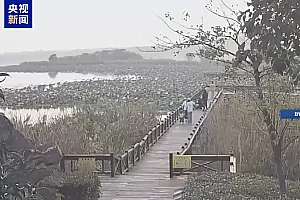 一老人不慎落水 多亏有他飞奔跳入冷湖中……