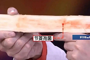 甘甜爽口,正大量上市!女子吃完后却多器官衰竭……