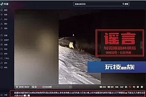 伊犁特克斯县琼库什台出现老虎?官方辟谣