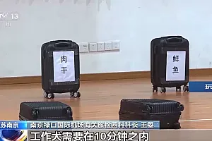 “汪汪队”年度考核:通过考试啦!和训导员握手庆祝一下