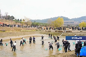 师生免费吃!浙江一高校内,抓到200斤鱼