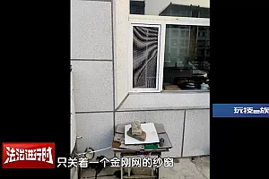 北京丰台一男子开豪车撬窗偷百达翡丽手表?刑拘!