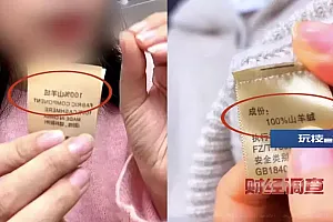 “羊绒衫”里没羊绒!两地被挂牌督办