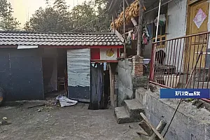 惊险!黑熊凌晨突闯家中撕咬妻子,58岁丈夫持斧击杀