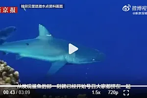 “漂流50公里,曾遇到公牛鲨”,失联潜水者讲述28小时自救经历