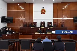 污水处理厂用纯净水稀释污水干扰监测,实际运营人被追究刑责