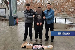 少年“拉车门”盗走21万!破案前15小时花7.5万……