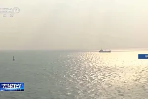 法治在线丨一起离奇坠海事故 牵出千万元级杀妻骗保大案