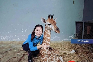 剑桥毕业入职上海动物园!00后南京女孩回应