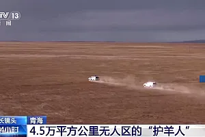 在4.5万平方公里的土地上 他们守护着“高原精灵”