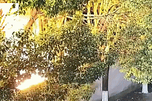 场面失控!上海一男子在禁燃区燃放烟花,闯祸后被行政处罚