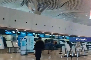 61岁婆婆在飞机上突然昏迷后离世,航空公司回应