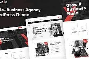 Noile – 商业机构 WordPress 主题