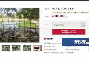 100吨活鳄鱼被拍卖!法院:400万元起拍,需“上门自提”