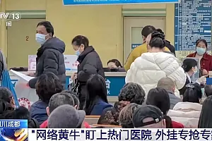 “网络黄牛”盯上热门医院 抢占号源牟利!警方揭秘背后伎俩