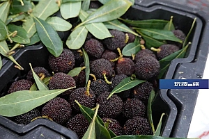 300元/公斤!华东地区杨梅季提前拉开帷幕