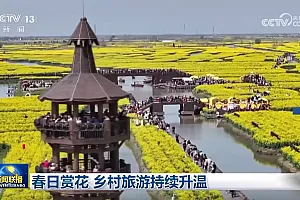 春日赏花 乡村旅游持续升温