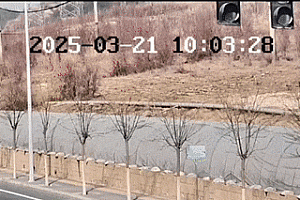 交警左臂粉碎性骨折,仍坚持完成任务!网友:看着都疼