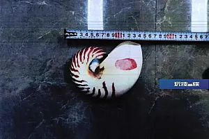 女子网购“漂亮东西”,警察找上门!别侥幸,犯法!