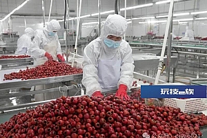 上热搜,酸的水果竟然是“高糖刺客”!这些吃水果的习惯,都错了
