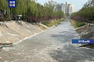 北京大风吹走的飞絮又来了?!专家释疑