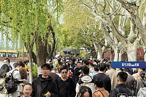 开了3小时还没出上海,有人原地放弃……网友:想到人会多,没想到这么多