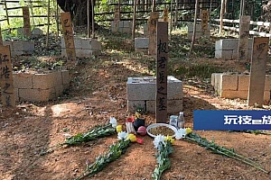 向无言的英雄致敬!功勋犬“极君星”离世,生前参与缴毒超80公斤