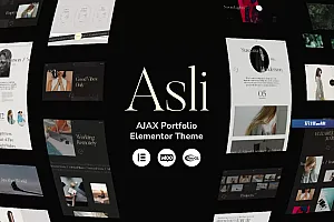 Asli – AJAX Portfolio Elementor WordPress 主题