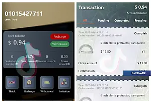 新版本海外tiktok多语言抢单系统源码/带文本搭建教程