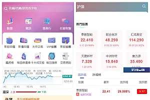 香港股票源码/大宗交易与新股申购系统源码/全套视频教程