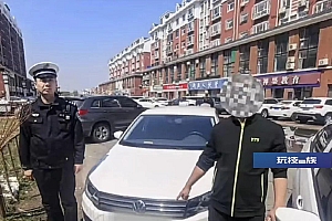马路上开车牵马遛羊?大庆交警开罚单