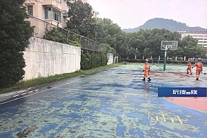 杭州多人目击:百斤重野猪闯进学校和小区!“跑飞快,随后自己游走了”