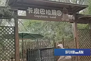 扬州动物园追加奖励,抓捕出逃卡皮巴拉方式优化:以“霸总”和“躲躲”为诱饵