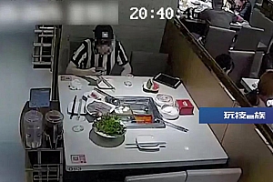 男子挖空心思四处抓蟑螂,自以为在沪上找到“生财之道”!1个破绽被警方识破,到案后直呼“太丢人”