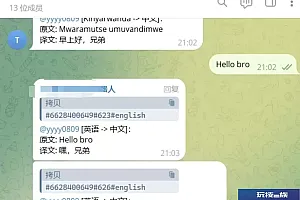 Telegram AI全自动翻译客服机器人源码/带视频搭建教程
