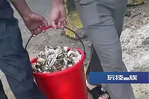 台风过后,生蚝、扇贝上岸……捡海鲜?紧急提醒!