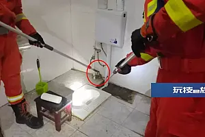 小时候最担心的事发生了!厕所惊现小蛇,西安消防3分钟抓获