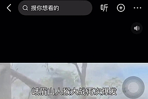 峨眉山“人猴大战游客坠崖”?景区回应