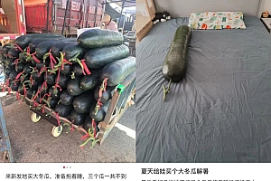 “抱冬瓜睡觉”能降温?医生提醒:这类人别用