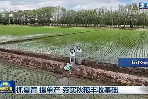 抓夏管 提单产 夯实秋粮丰收基础