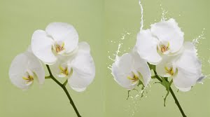 1597200147-46a309f1022ff0c