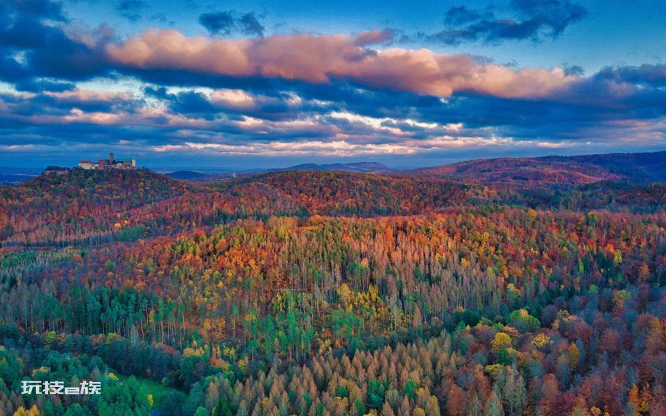 秋天森林自然风景高清壁纸