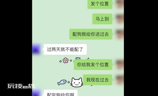 男子养2年多狗借同学配种反被卖