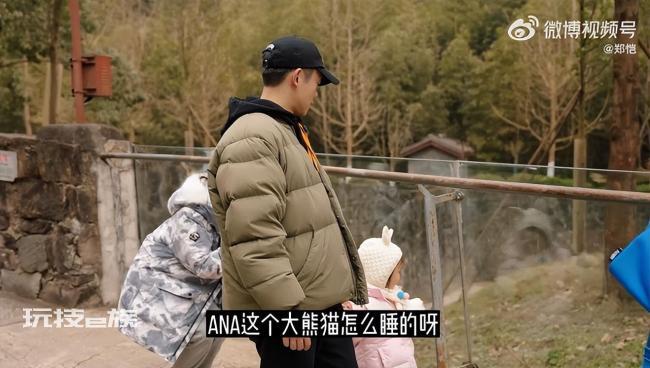 郑恺苗苗带女儿看大熊猫 网友:全家总动员